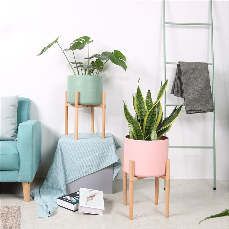 Coloured matt ceramic plant pot resting on a small wooden stand on a table