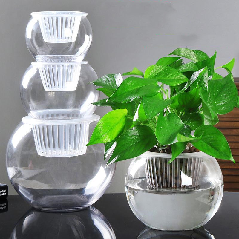 Modern household plant pots displayed with green plants on a wooden table