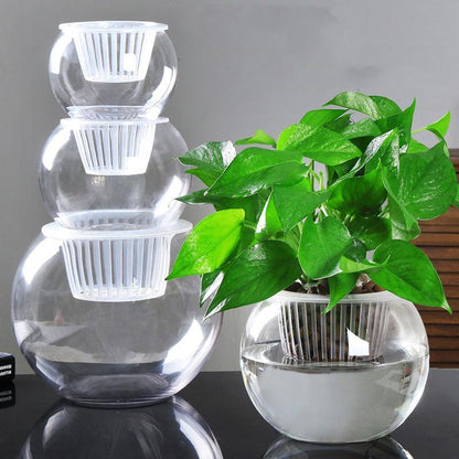 Modern household plant pots displayed with green plants on a wooden table