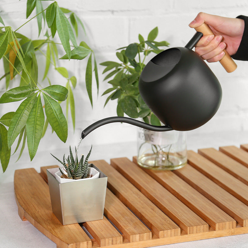 Stainless steel watering pot with wooden handle pouring water into indoor plant