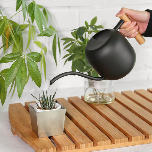 Stainless steel watering pot with wooden handle pouring water into indoor plant